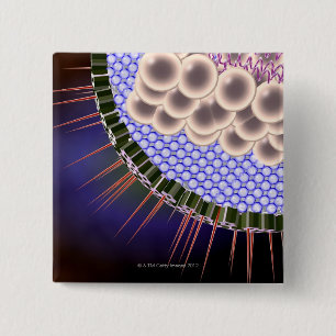 Bóton Quadrado 5.08cm Vírus de herpes