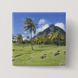 Bóton Quadrado 5.08cm vista do Gros Piton ao longo da trilha histórica e