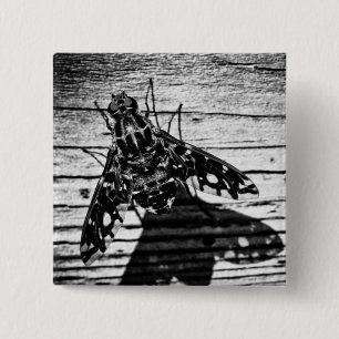 Bóton Quadrado 5.08cm volta