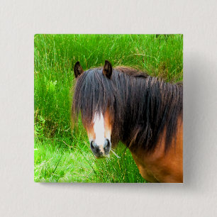 BÓTON QUADRADO 5.08CM WELSH MOUNTAIN PONY