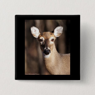 Bóton Quadrado 5.08cm Wildlife Whitetail Deer Doe Portrait