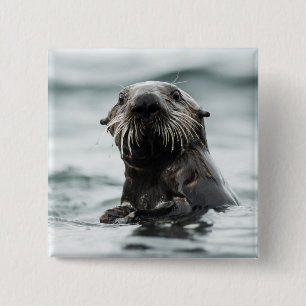 Bóton Quadrado 5.08cm Wise Otter