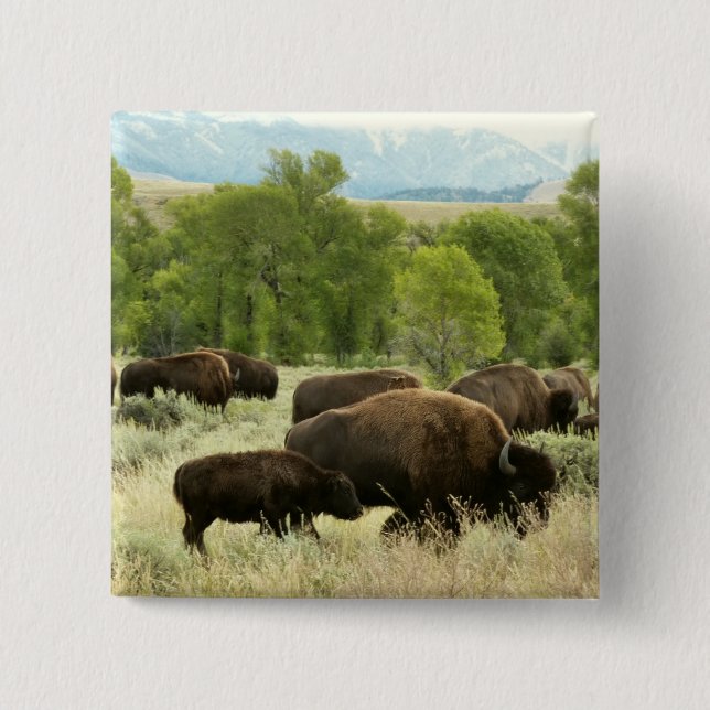 Bóton Quadrado 5.08cm Wyoming Bison Nature (Frente)