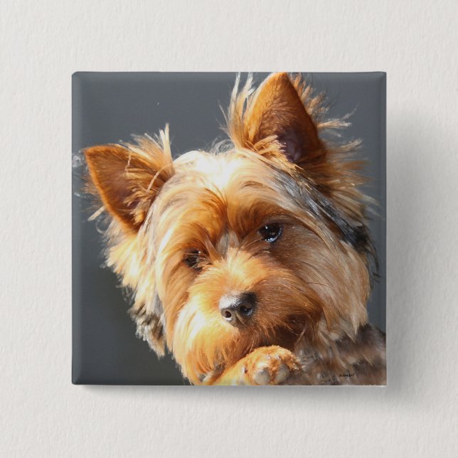 Bóton Quadrado 5.08cm yorkie (Frente)