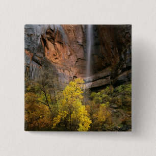Bóton Quadrado 5.08cm Zion National Park, Utah. EUA. Ephemeral