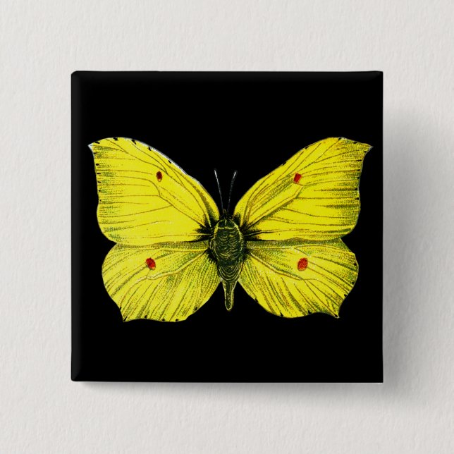 Bóton Quadrado 5.08cm Zitronenfalter (Frente)
