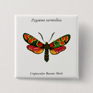 Bóton Quadrado 5.08cm Zygaena carniolica - A Gente De Burnet