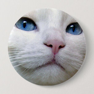 Bóton Redondo 10.16cm Botão de Tom