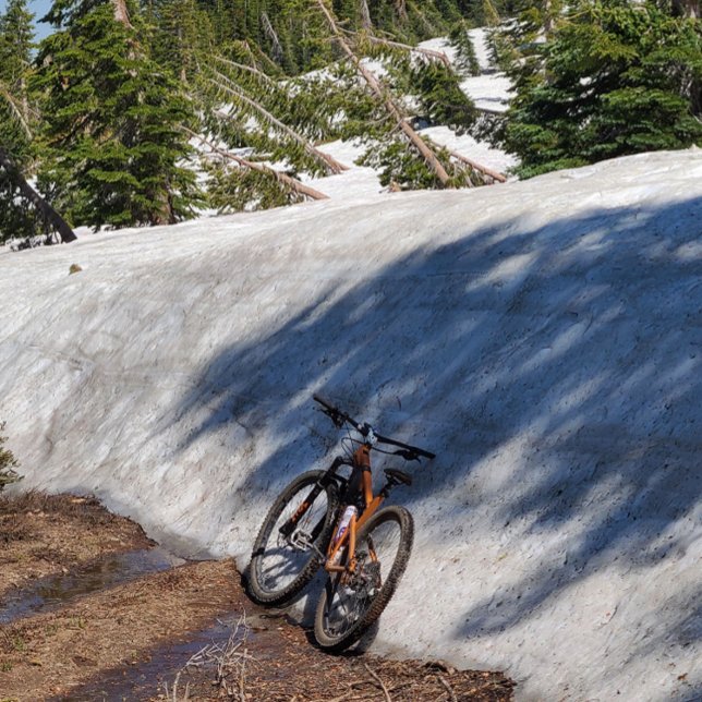 Bóton Redondo 10.16cm Botão redondo, grande, 4 polegadas (Criador carregado)