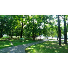 Botão redondo, grande, 4 polegadas