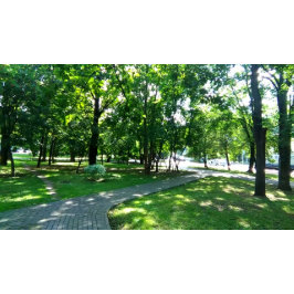 Bóton Redondo 10.16cm Botão redondo, grande, 4 polegadas