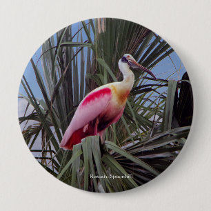 Bóton Redondo 10.16cm botão Roseate Spoonbill