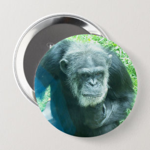 Bóton Redondo 10.16cm Chimpanzé que pensa o botão redondo pequeno