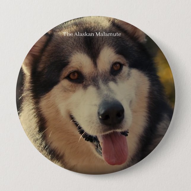 Bóton Redondo 10.16cm Crachá (Frente)