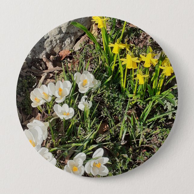Bóton Redondo 10.16cm Crachá Daffodils & Crocus (Frente)