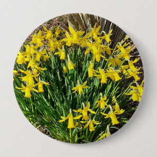 Bóton Redondo 10.16cm Crachá de Daffodils Primavera