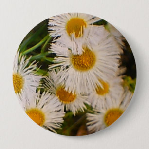 Bóton Redondo 10.16cm Daisies