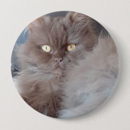 Bóton Redondo 10.16cm Gato fofinho