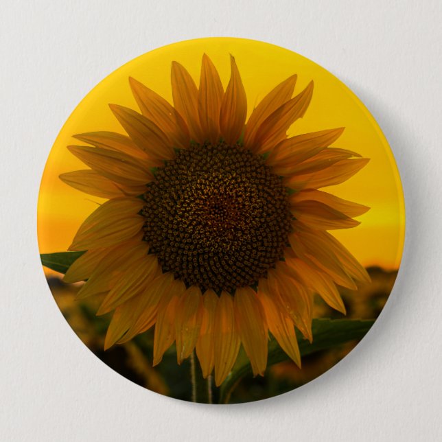 Bóton Redondo 10.16cm Girassol 🌻 (Frente)