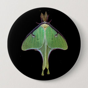 Bóton Redondo 10.16cm Luna Moth