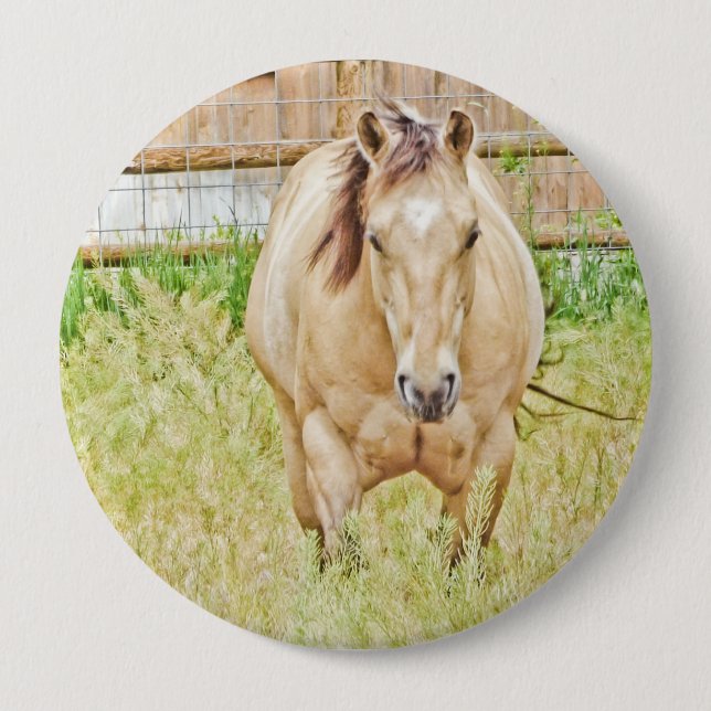 Bóton Redondo 10.16cm Manhã Preguiçosa (Frente)