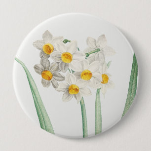 Bóton Redondo 10.16cm Narcissus, Pierre-Joseph Redouté, 1805