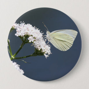 Bóton Redondo 10.16cm Pin voado branco da borboleta da maravilha