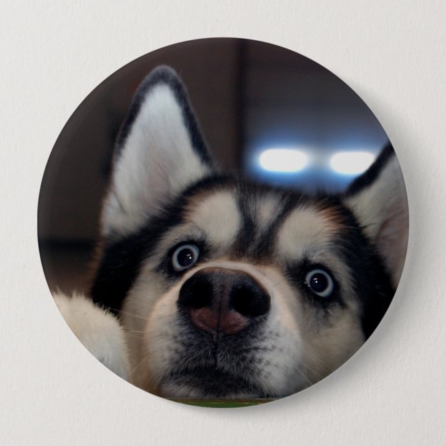 Bóton Redondo 10.16cm Qualquer um para fora lá? (Frente)