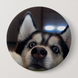 Bóton Redondo 10.16cm Qualquer um para fora lá?