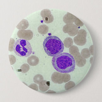 Bóton Redondo 10.16cm rbcs wbcs slide laboratório microscópio hematologi