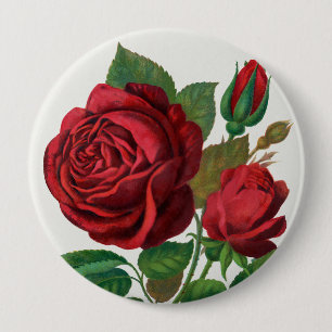 Bóton Redondo 10.16cm Rose Print Rochester Lithographing and Printing Co