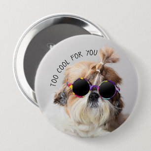 Bóton Redondo 10.16cm Shih Tzu Muito Legal para vocês Óculos de sol Fo