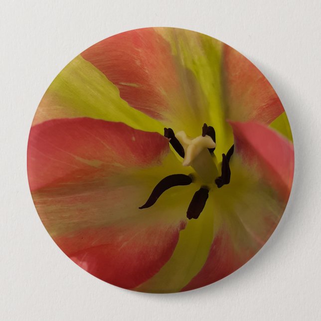 Bóton Redondo 10.16cm Tulipa Rosa e Amarela (Frente)