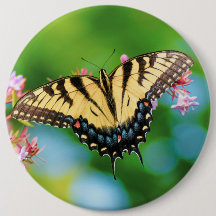 Bela borboleta Swallowtail em flores bonito