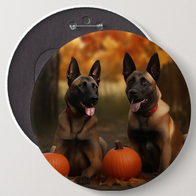 Bóton Redondo 15.24cm Belga Malinoi Puppy Autumn Delight Pumpkin (Frente & Verso)