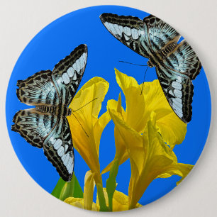 Bóton Redondo 15.24cm Borboletas azuis da Malásia em Canna King