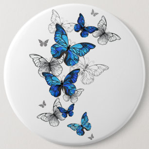 Bóton Redondo 15.24cm Borboletas Azuis Morpho