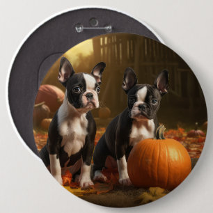 Bóton Redondo 15.24cm Boston Terrier Puppy Autumn Delight Pumpkin
