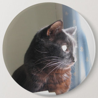 Bóton Redondo 15.24cm Botão da extra grande