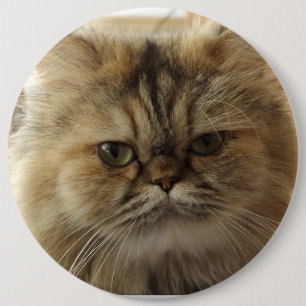 BÓTON REDONDO 15.24CM BOTÃO DE FOTO DE GATO DE ESTIMAÇÃO PERSONALIZADO G