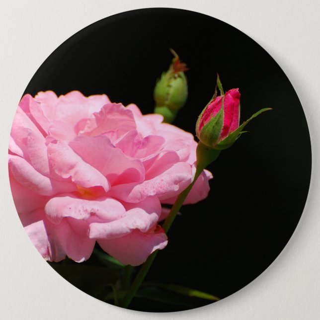 Bóton Redondo 15.24cm Bud de um rosa (Frente)