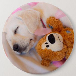 Bóton Redondo 15.24cm Cachorros de pãozinho 02
