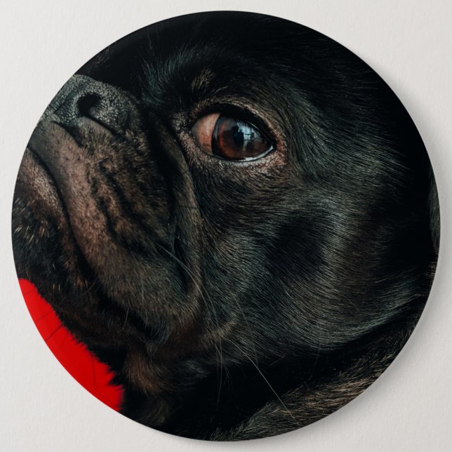 Bóton Redondo 15.24cm cão rojo (Frente)