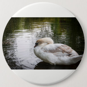 Bóton Redondo 15.24cm Cisne branco