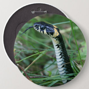 Bóton Redondo 15.24cm Cobra