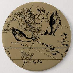 Bóton Redondo 15.24cm Constelação de peixes Hevelius cerca de 1690