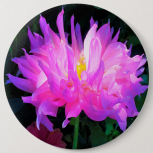 Bóton Redondo 15.24cm Cor-de-rosa e cactus roxo Dahlia