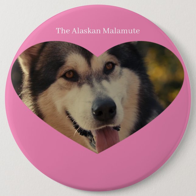 Bóton Redondo 15.24cm Crachá (Frente)