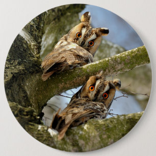 Bóton Redondo 15.24cm Duas corujas nos bosques, aves, botão de vida selv