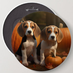 Bóton Redondo 15.24cm Filhote de Beagle Delícia de Outono Abóbora